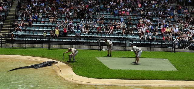 Australia Zoo